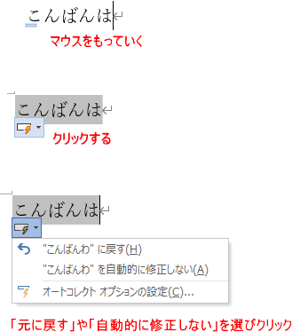 オートコレクトのオプション